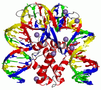 Image Asym./Biol. Unit - manually