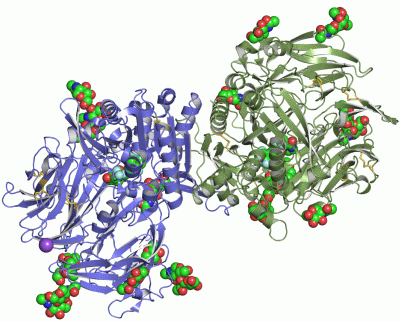 Image Asym./Biol. Unit - manually