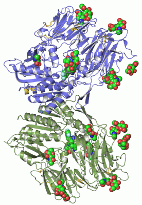 Image Asym./Biol. Unit - manually