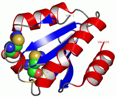 Image Asym./Biol. Unit - manually