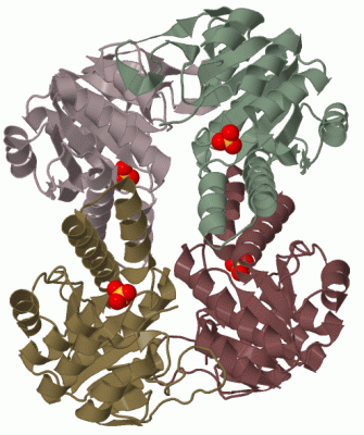 Image Biol.Unit 1 - manually