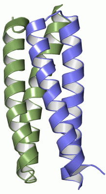 Image Asym./Biol. Unit - manually