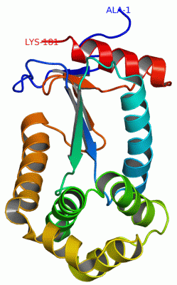 Image NMR Structure - manually