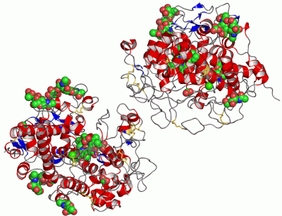 Image Asym./Biol. Unit - manually