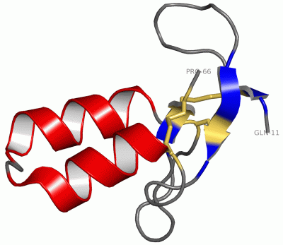 Image NMR Structure - manually