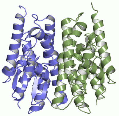 Image Asym./Biol. Unit - manually