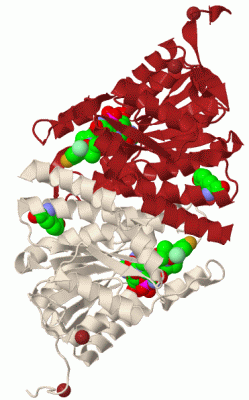 Image Biol.Unit 1 - manually