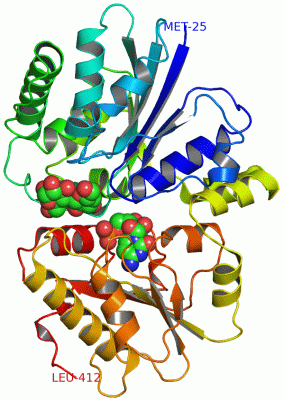 Image Asym./Biol. Unit - manually