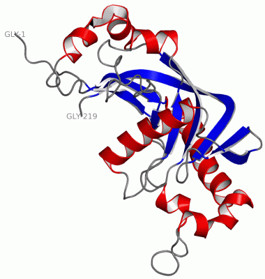 Image NMR Structure - manually