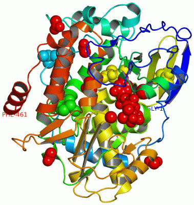 Image Asym./Biol. Unit - manually