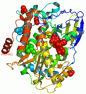 Image Asym./Biol. Unit - manually