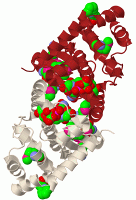 Image Biol.Unit 1 - manually