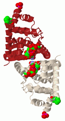 Image Biol.Unit 1 - manually