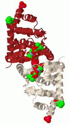 Image Biol.Unit 1 - manually