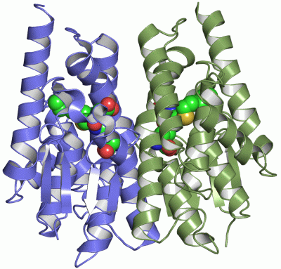 Image Asym./Biol. Unit - manually