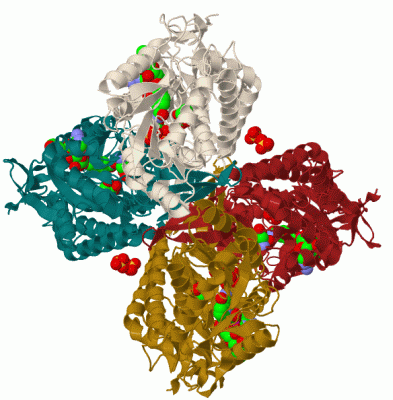 Image Biol.Unit 1 - manually