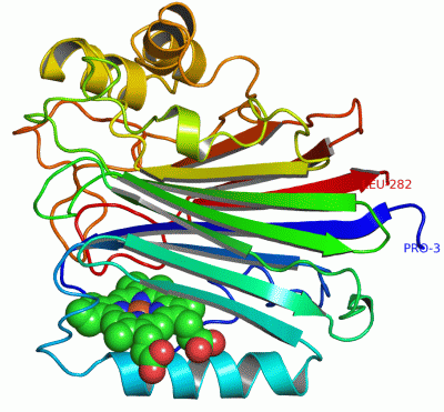 Image Asym./Biol. Unit - manually