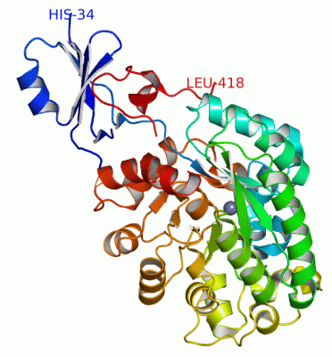 Image Asym./Biol. Unit - manually