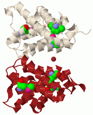 Image Biol.Unit 1 - manually