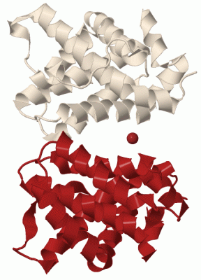 Image Biol.Unit 1 - manually