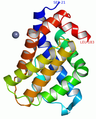 Image Asym.Unit - manually