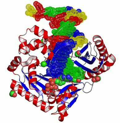 Image Asym./Biol. Unit - manually