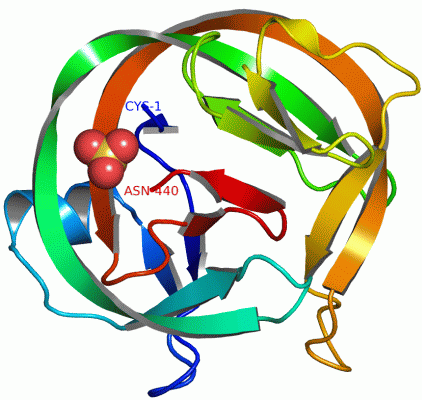 Image Asym./Biol. Unit - manually