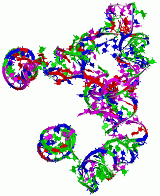 Image Theor.Model - manually