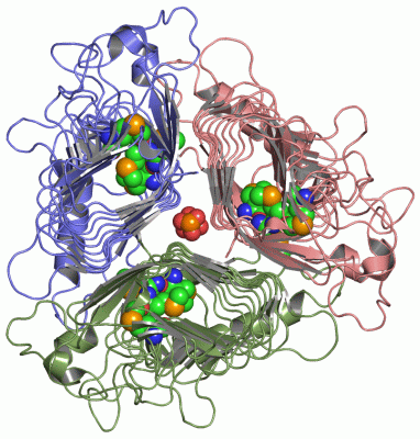 Image Asym./Biol. Unit - manually