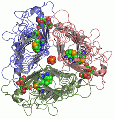 Image Asym./Biol. Unit - manually