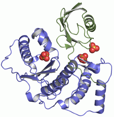 Image Asym./Biol. Unit - manually