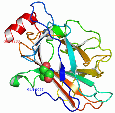 Image Asym./Biol. Unit - manually