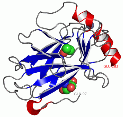 Image Asym./Biol. Unit - manually