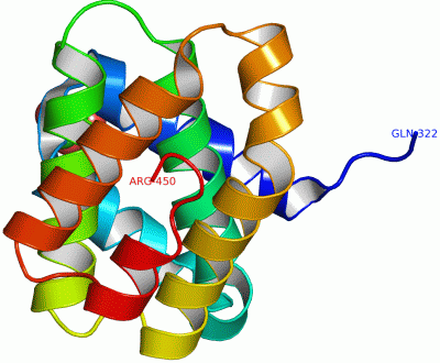 Image Asym./Biol. Unit - manually