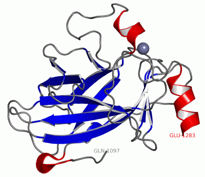 Image Asym./Biol. Unit - manually