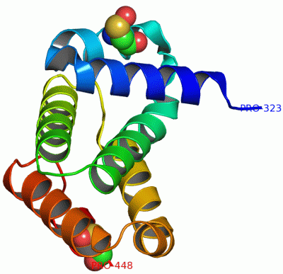 Image Asym./Biol. Unit - manually