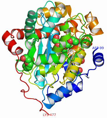 Image Asym./Biol. Unit - manually