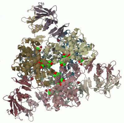 Image Biol.Unit 1 - manually