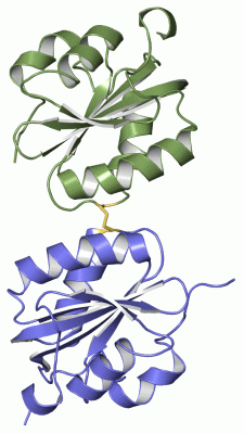 Image Asym./Biol. Unit - manually