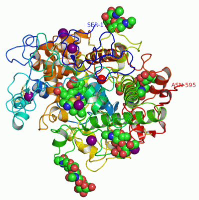 Image Asym./Biol. Unit - manually