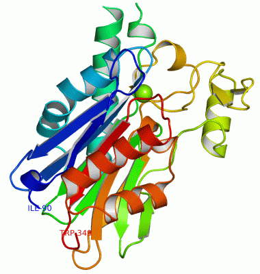 Image Asym./Biol. Unit - manually