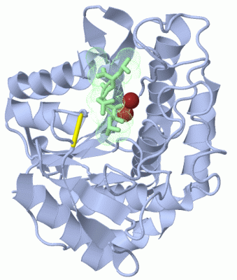 Image Asym./Biol. Unit - manually