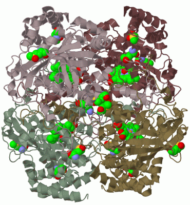 Image Biol.Unit 1 - manually