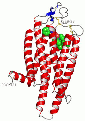 Image Theor.Model - manually