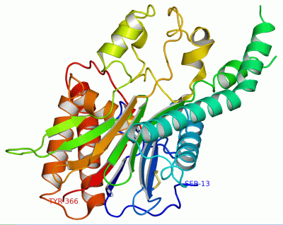 Image Asym./Biol. Unit - manually