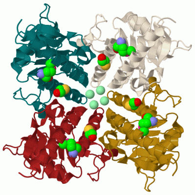 Image Biol.Unit 1 - manually