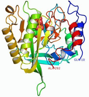 Image Asym./Biol. Unit - manually