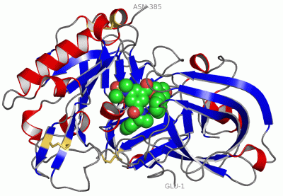 Image Asym./Biol. Unit - manually