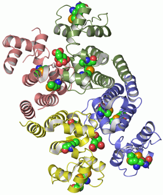 Image Asym./Biol. Unit - manually