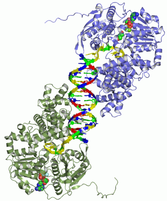 Image Asym./Biol. Unit - manually